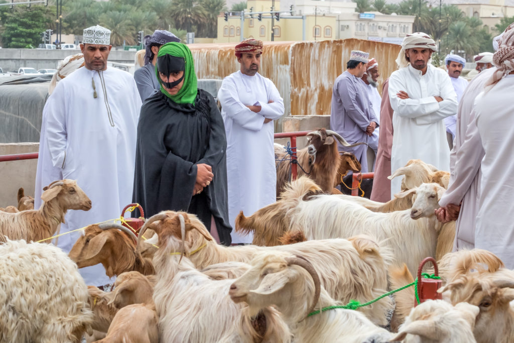 Why Oman Should Be Your Next Journey