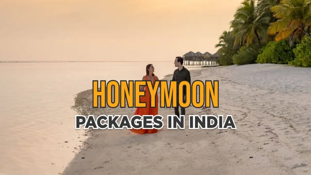 India's Ultimate Honeymoon: Palaces, Beaches, and Backwater Retreats