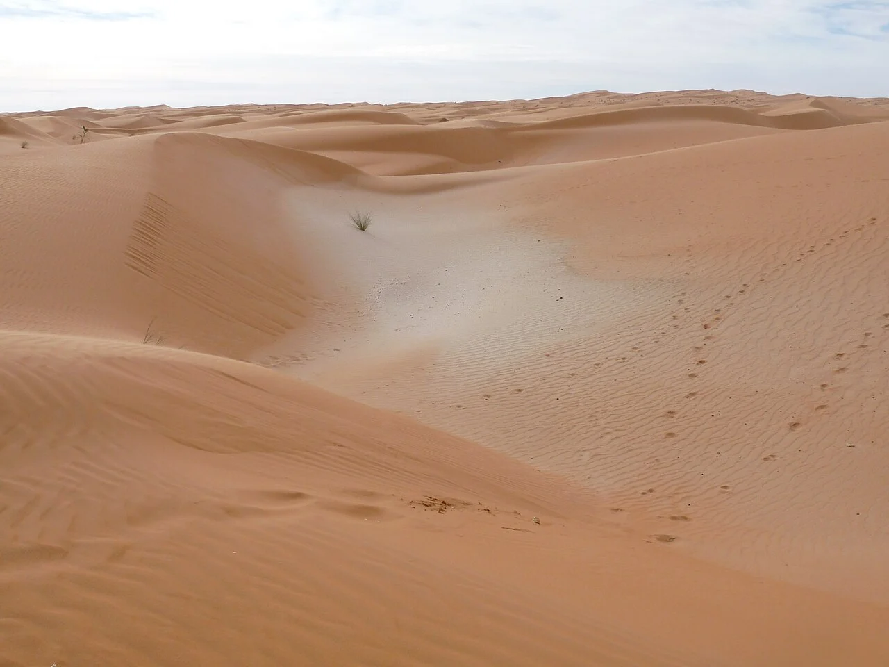 Mauritania