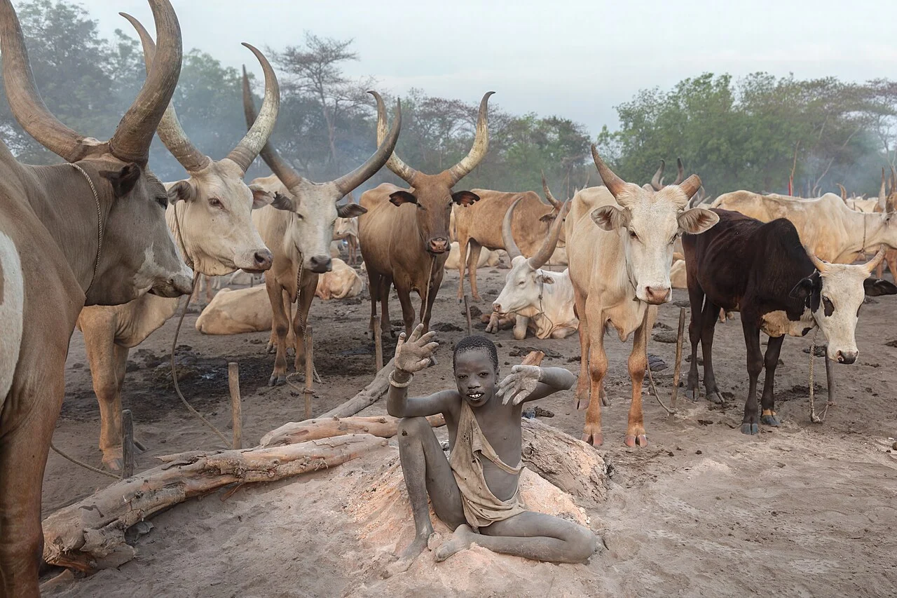 South Sudan