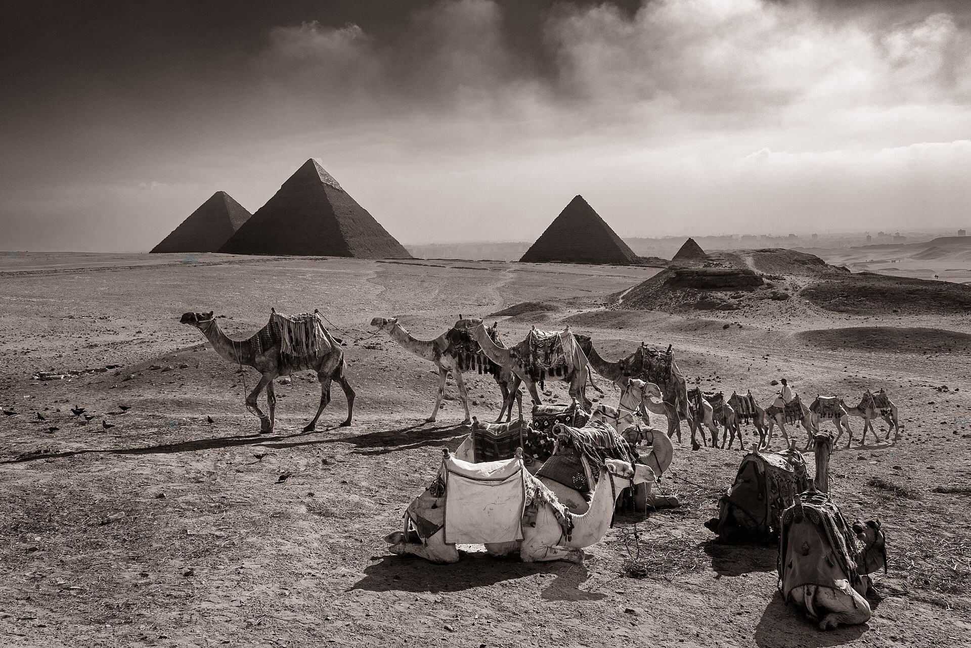 Egypt — Pyramids & the Living Nile