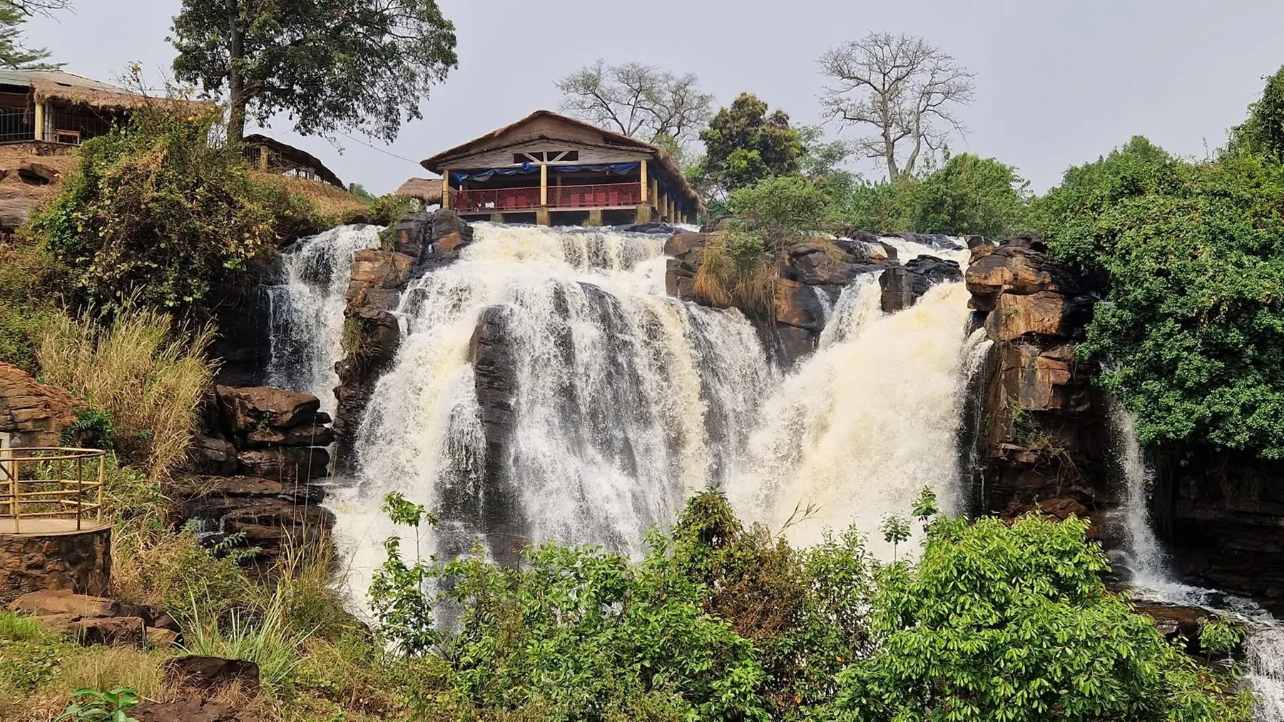 Bangui: River, Forest and Living Traditions