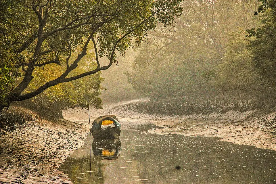 Rivers, Ruins & the Royal Bengal Tiger