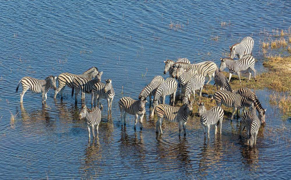 Botswana Classic Safari