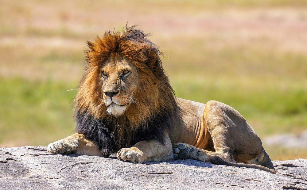 Tanzania & Kenya